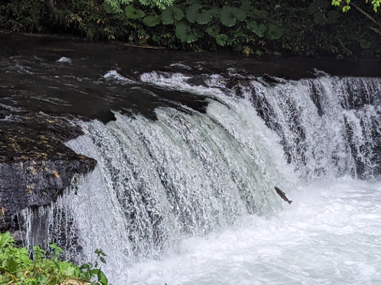 清里イーハトーヴユースホステル クーポン