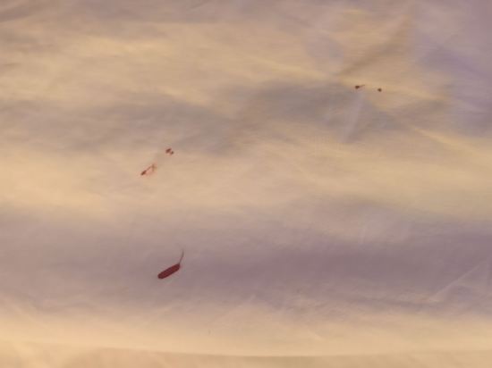 銅鑼灣如心酒店優惠