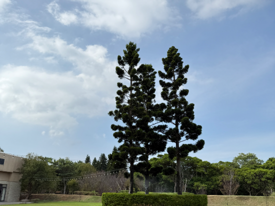 桃園中壢南方莊園渡假飯店優惠