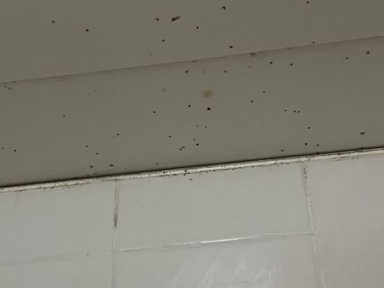 香港帝國酒店優惠