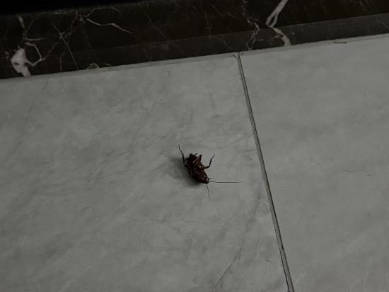 凱里亞德酒店（湖南金融中心店）優惠