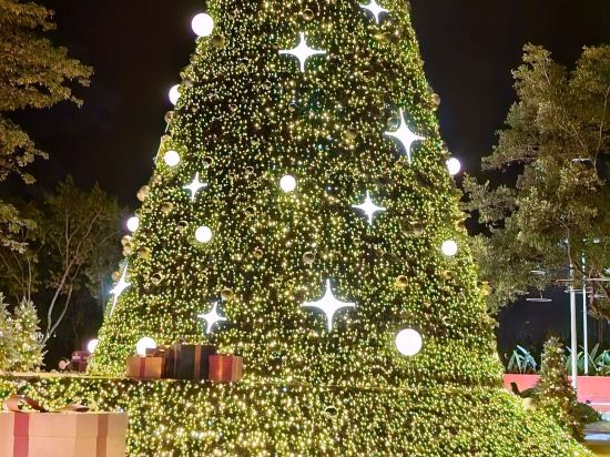 廣州九龍湖國王酒店優惠