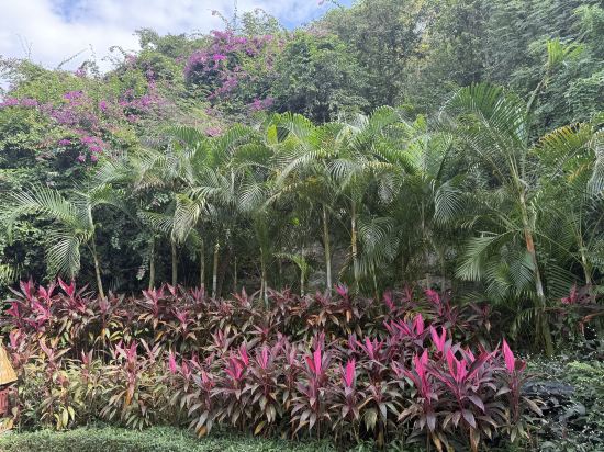 三亞珊瑚灣文華東方酒店優惠