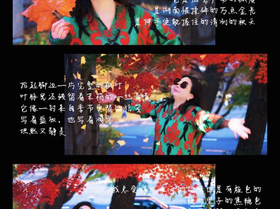 티마크그랜드호텔 명동 쿠폰