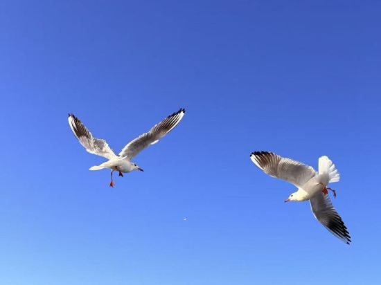大理瀾庭別院優惠