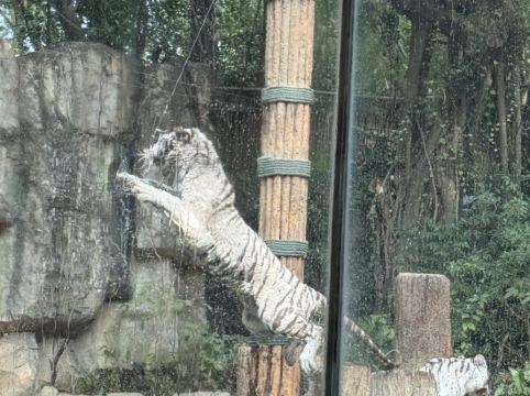 長隆酒店（廣州長隆野生動物世界店）優惠