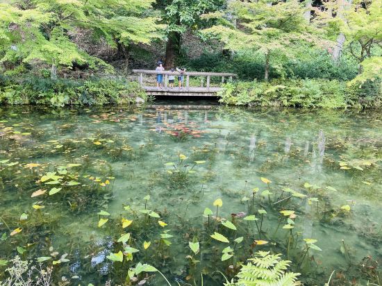 フェアフィールド・バイ・マリオット・岐阜高山荘川 クーポン