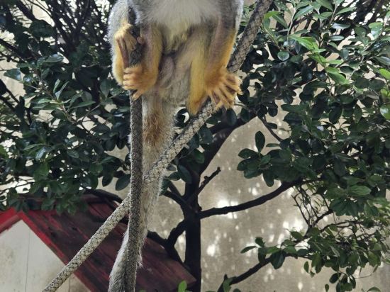 西鉄リゾートイン那覇 クーポン