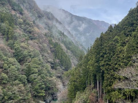 渓谷の隠れ宿　祖谷美人 クーポン