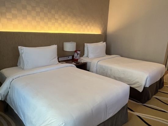 關丹勒捷尼酒店優惠