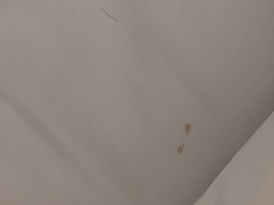 雪梨機場旅客之家飯店優惠