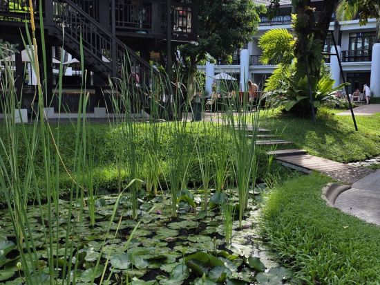 微笑蘭納飯店優惠