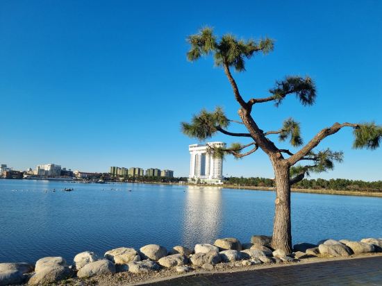 스카이베이 호텔 경포 쿠폰