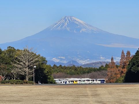 ホテルジーハイブ三島駅南口（HotelGeeHaive） クーポン
