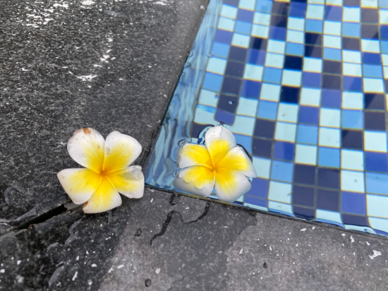花蓮193線花園民宿優惠