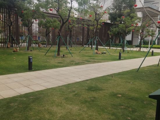 維婭斯行政公寓（深圳國際會展中心店）優惠