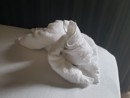 堪薩斯城廣場萬豪 AC 酒店優惠