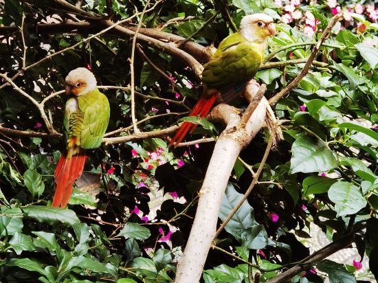 過街樓客棧（麗江古城木府店）優惠
