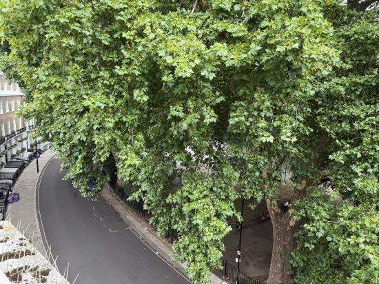 倫敦賈德酒店優惠