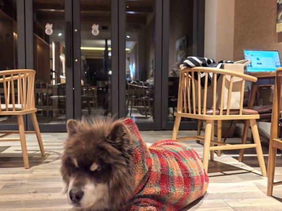 瀘沽湖晏坐湖景清奢民宿（大落水村店）優惠