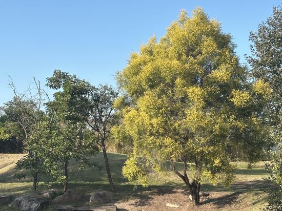 廣州九龍湖國王酒店優惠