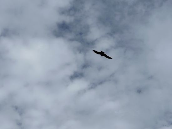 漢庭酒店（珠海拱北口岸情侶路店）優惠