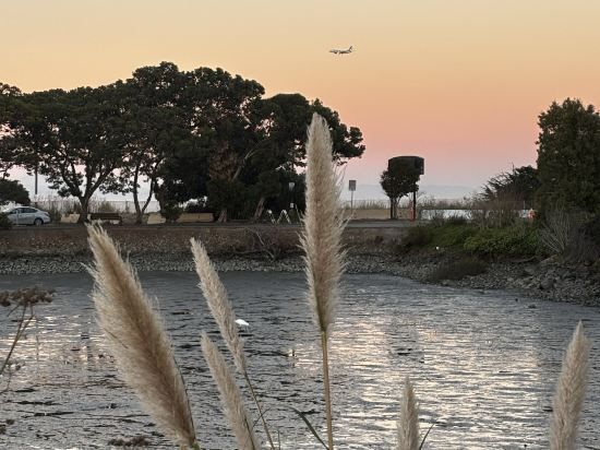 舊金山機場海灣希爾頓酒店優惠