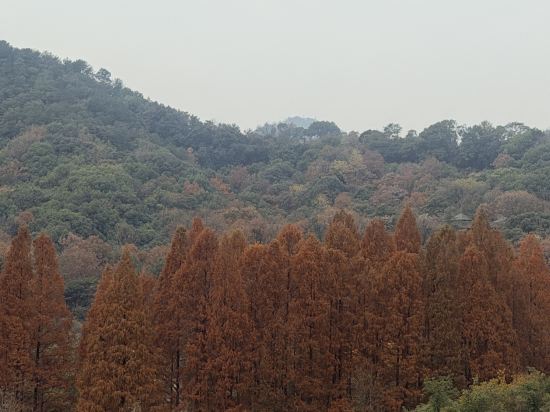 全季飯店（杭州西湖湖濱步行街店）優惠
