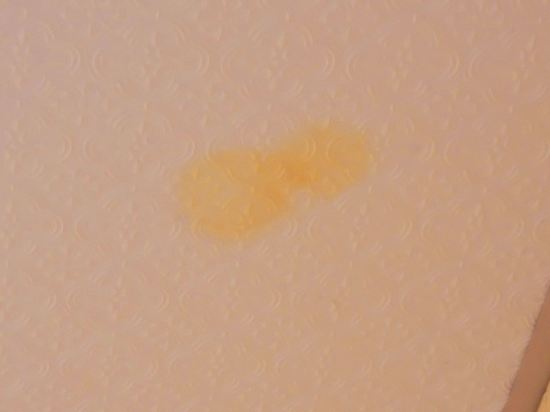 浮羅交怡阿瑟尼亞度假酒店優惠