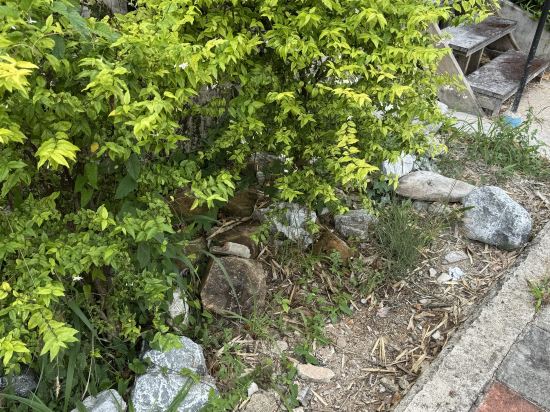 USABAI河畔精品酒店優惠