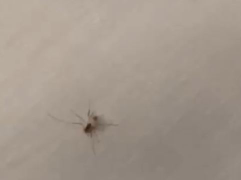 旅館 すみや亀峰菴 クーポン