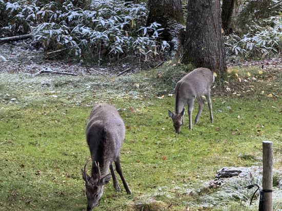 星野集團 Tomamu the Tower優惠