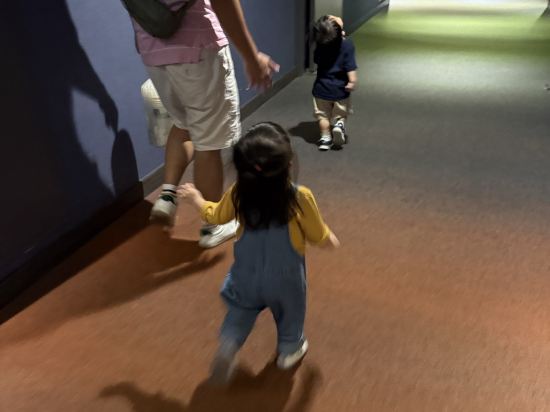 新竹煙波大飯店-湖濱本館優惠