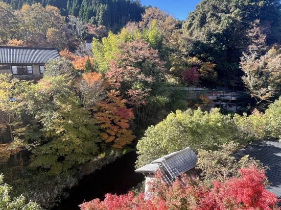 玉卿之音飯店優惠