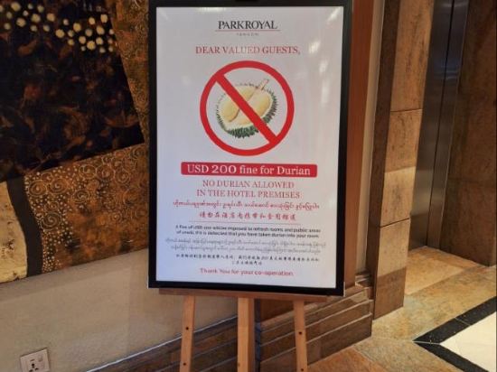 仰光賓樂雅飯店優惠