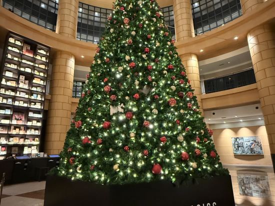 ザ・ベーシックス福岡 クーポン