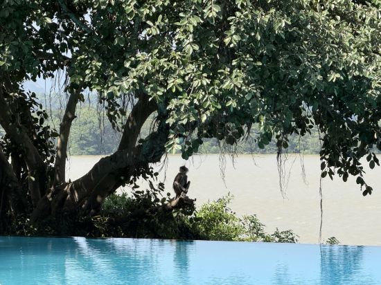 坎達拉馬遺產飯店優惠