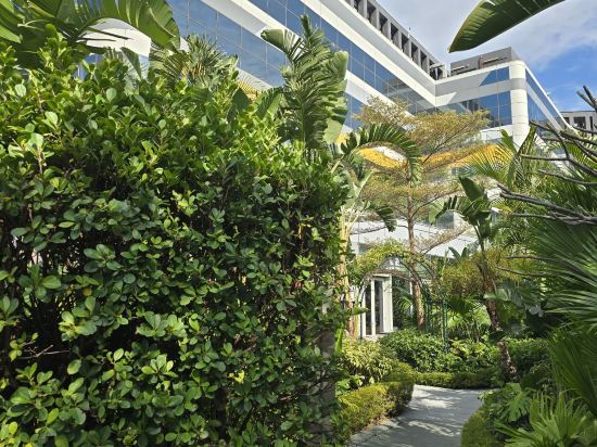 香港銀樾美憬閣精選飯店優惠