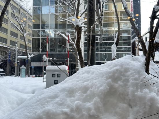 東横INN札幌すすきの交差点 クーポン