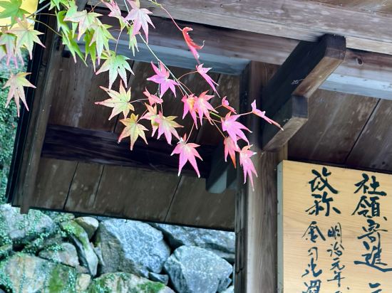 ことひら温泉琴参閣 クーポン