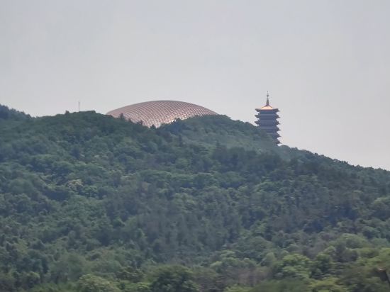 合肥綠地福朋喜來登酒店優惠