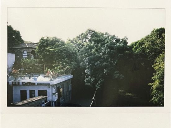 鼓浪嶼花之聲·花園美墅優惠