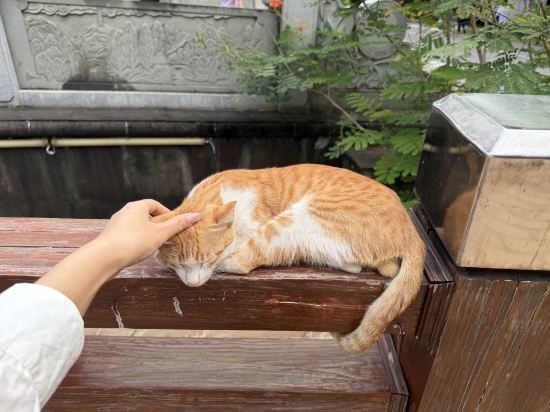 順德大良智選假日飯店（清暉園店）優惠