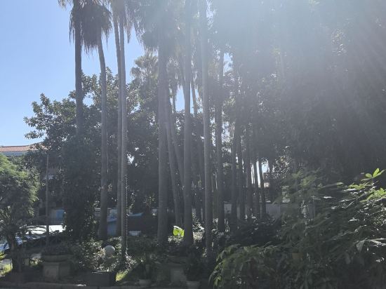 鼓浪嶼柏文熊飯店（三丘田碼頭店）優惠