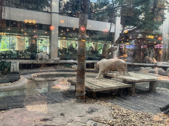 長隆酒店（廣州長隆野生動物世界店）優惠