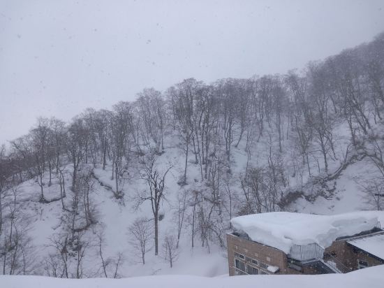 二股らぢうむ温泉旅館 クーポン