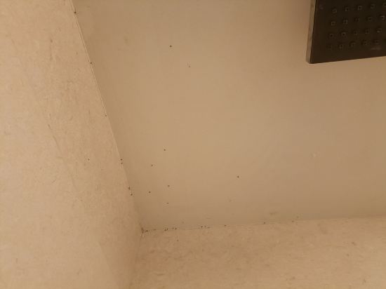 新山市中心度假別墅優惠