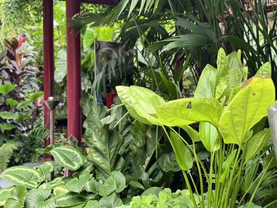 普布利卡埃羅特酒店，簽名收藏優惠