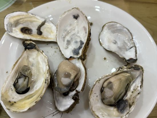 中山泉眼温泉度假酒店優惠