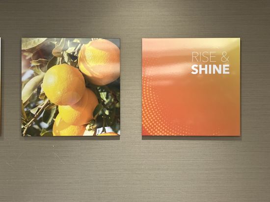 名古屋伏見舒適飯店優惠